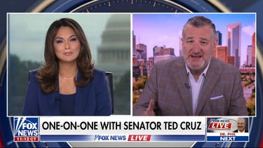 Ted Cruz talks midterm election and the 'extreme radical left'