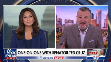 Ted Cruz talks midterm election and the 'extreme radical left'