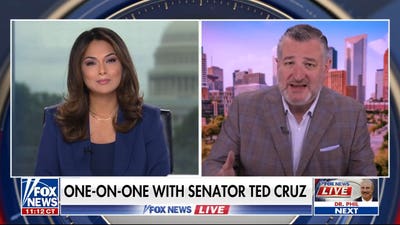 Ted Cruz talks midterm election and the 'extreme radical left'
