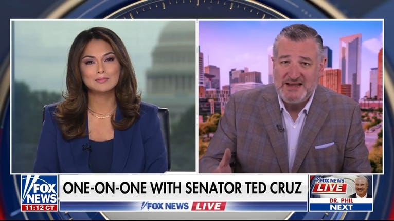 Ted Cruz talks midterm election and the 'extreme radical left'