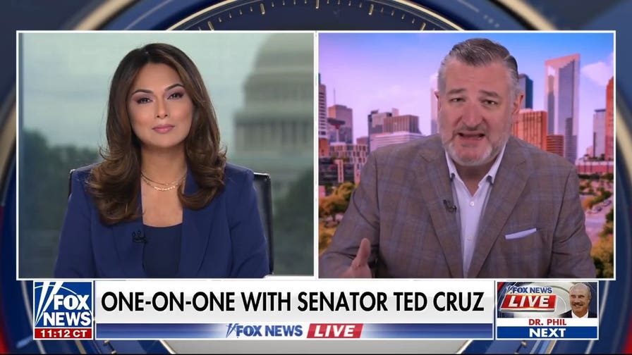 Ted Cruz talks midterm election and the 'extreme radical left'