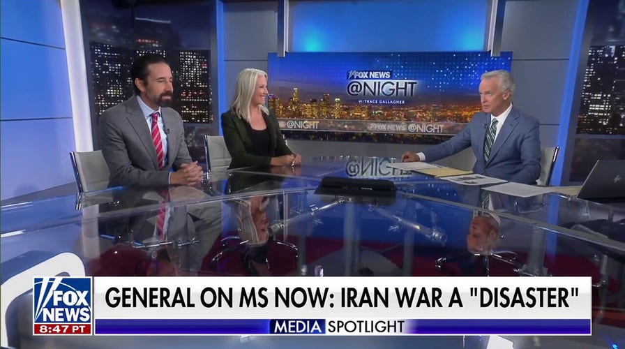 ‘No Kings’ protesters are ‘very selective successful  their outrage,’ blimpish  commentator says