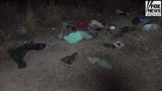 WATCH: GOP U.S. Senators talk ICE losing track of 150k illegal migrants - Fox News