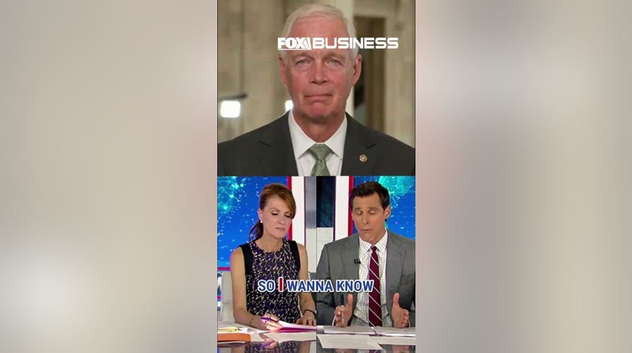 GOP senator calls out Democrats for inciting political violence 