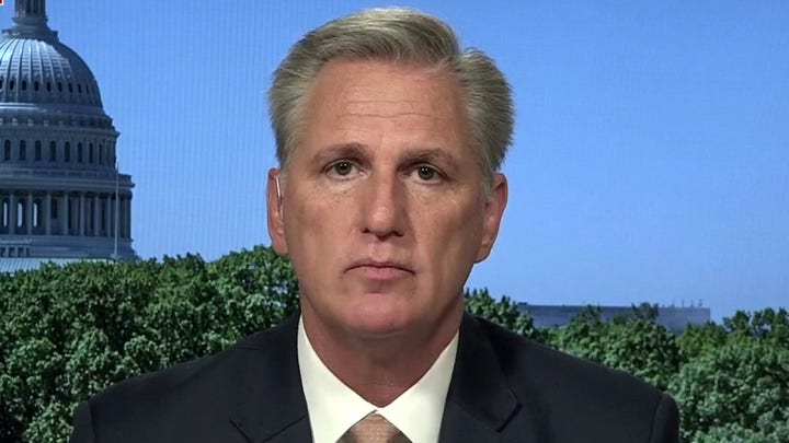 McCarthy blasts border crisis: 'Democrats ignore the problems they ignite'