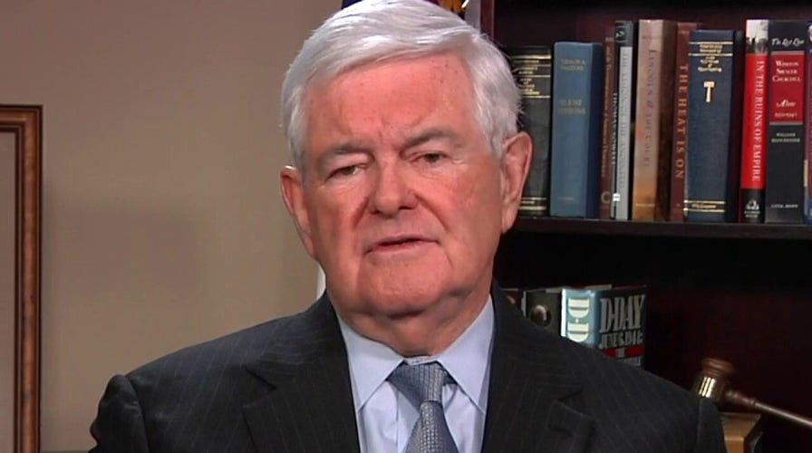 Newt Gingrich: 'The entire left is living in a fantasy world'