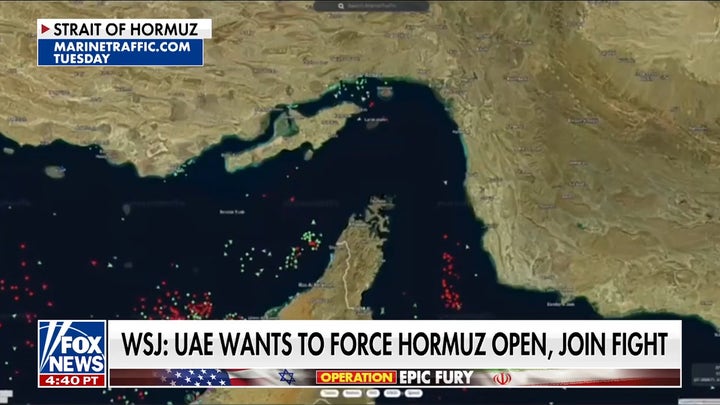 UAE says no change in posture regarding Strait of Hormuz