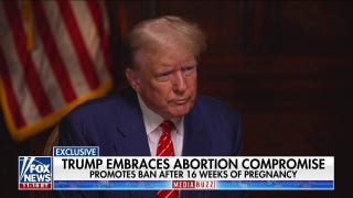Trump reportedly promotes abortion ban after 16 weeks of pregnancy - Fox News