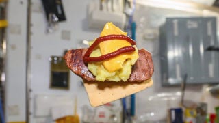Out-of-this-world burger as astronaut crafts gourmet meal in space