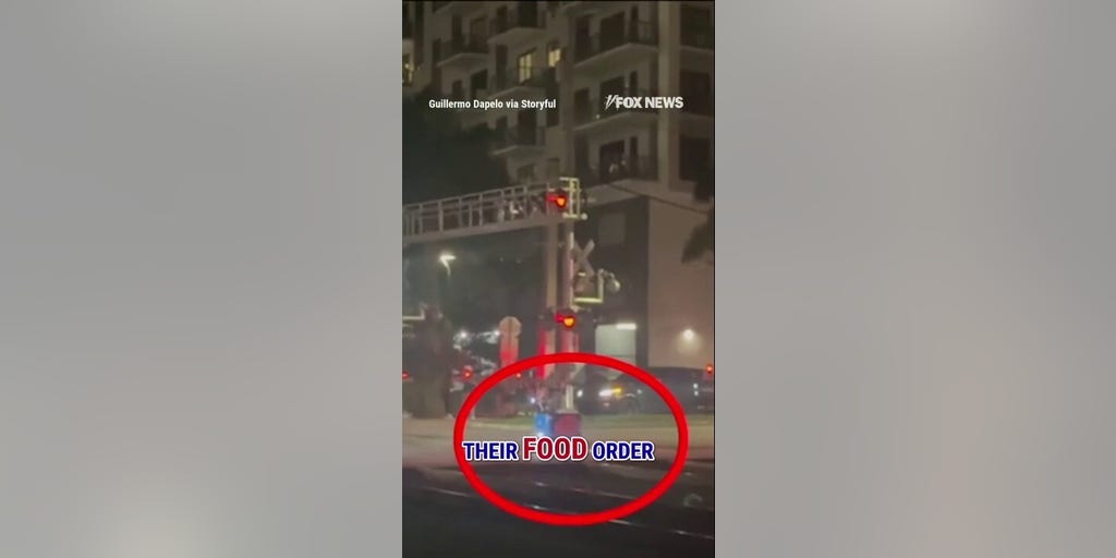 SEE IT: Delivery robot gets CRUSHED by oncoming train