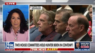 Hunter Biden is trying to 'cloud' the evidence of corruption against him: Miranda Devine - Fox News