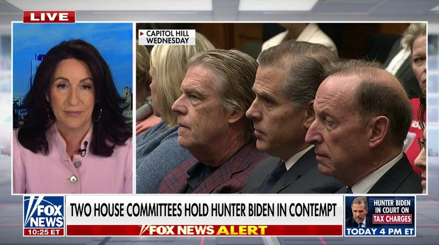 Hunter Biden is trying to 'cloud' the evidence of corruption against him: Miranda Devine