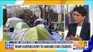 Expert warns terror groups are using campus protests to 'expand radicalization'