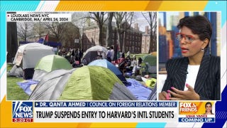 Expert warns terror groups are using campus protests to 'expand radicalization'