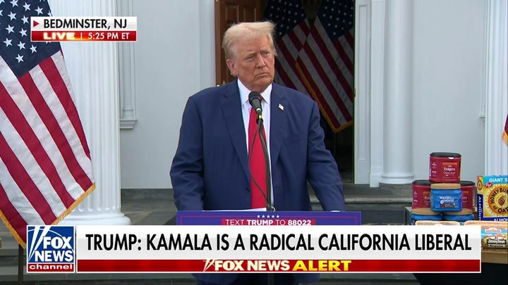 Donald Trump: Kamala Harris is 'all talk'