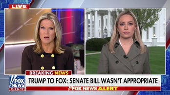 President Trump backs Speaker Johnson's rejection of Senate GOP-Dems' deal on DHS spending bill