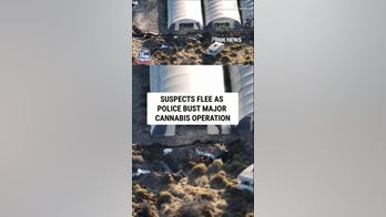 SEE IT: Suspects flee as police bust MAJOR cannabis operation