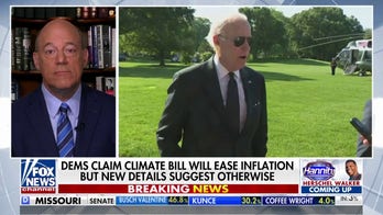 Spending bill is corporate welfare: Fleischer