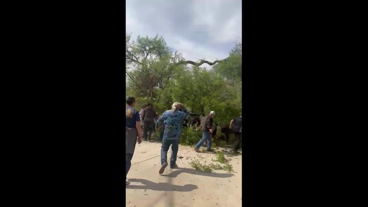 Tree falls on people at the San Antonio Zoo
