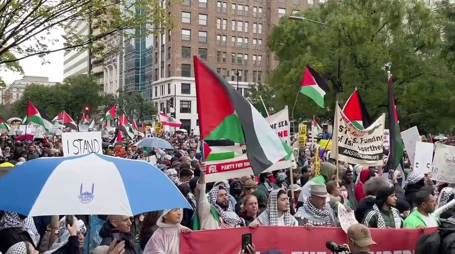 Pro-Palestinian protesters move through Washington, D.C.