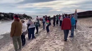 Wisconsin women unleash primal screams in protest of Trump win: video - Fox News