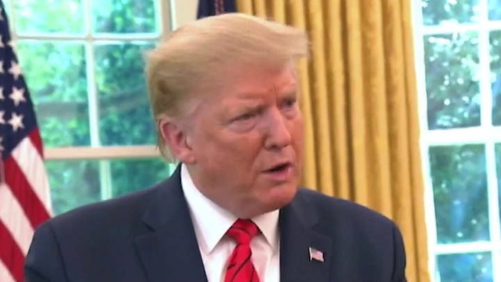 Trump blasts 'weak' states for allowing targeting of statues to happen in Fox News interview