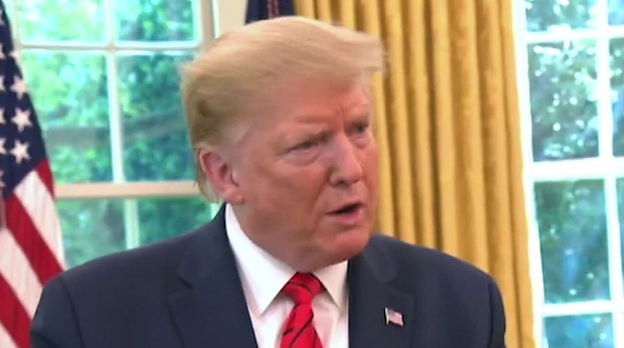 Trump blasts 'weak' states for allowing targeting of statues to happen in Fox News interview