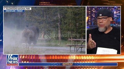 Tyrus: If you go to Yellowstone, stay away from the bison