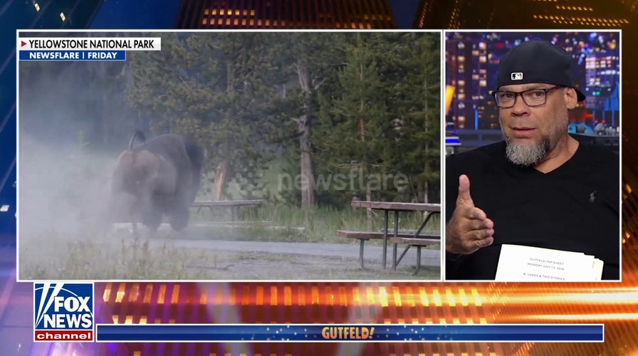 Tyrus: If you go to Yellowstone, stay away from the bison
