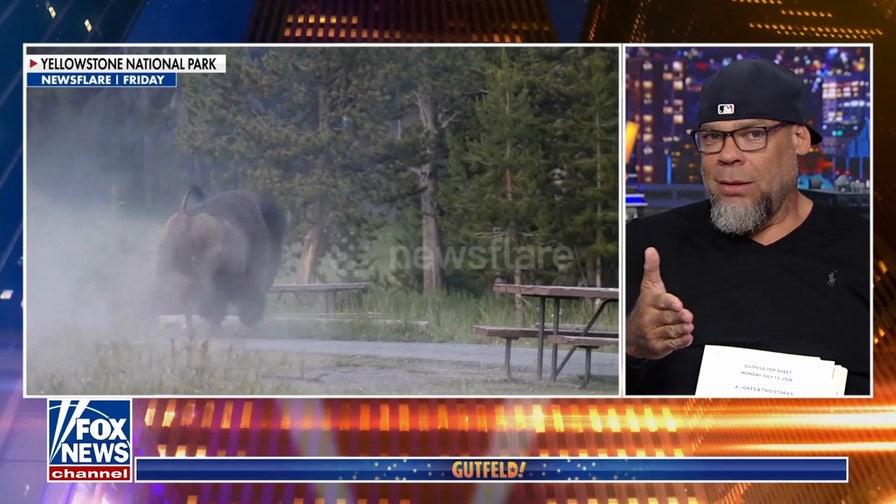Tyrus: If you go to Yellowstone, stay away from the bison