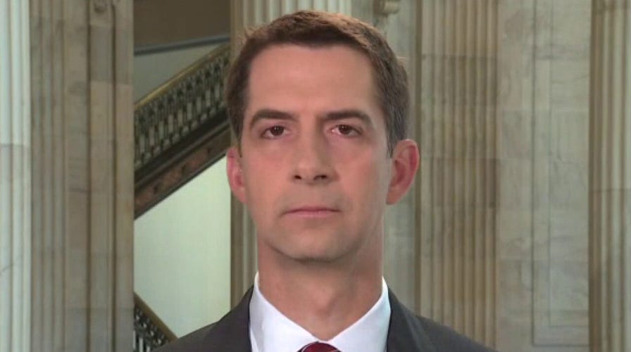 Sen. Cotton: Biden needs to stand up to anti-Israel voices in Democratic Party