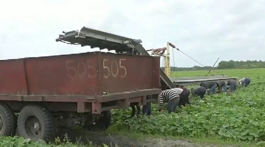 Stay-at-home orders reduce large-scale demand for local farmers