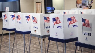 Georgia's early voting hits a record high, while some voters are still undecided - Fox News