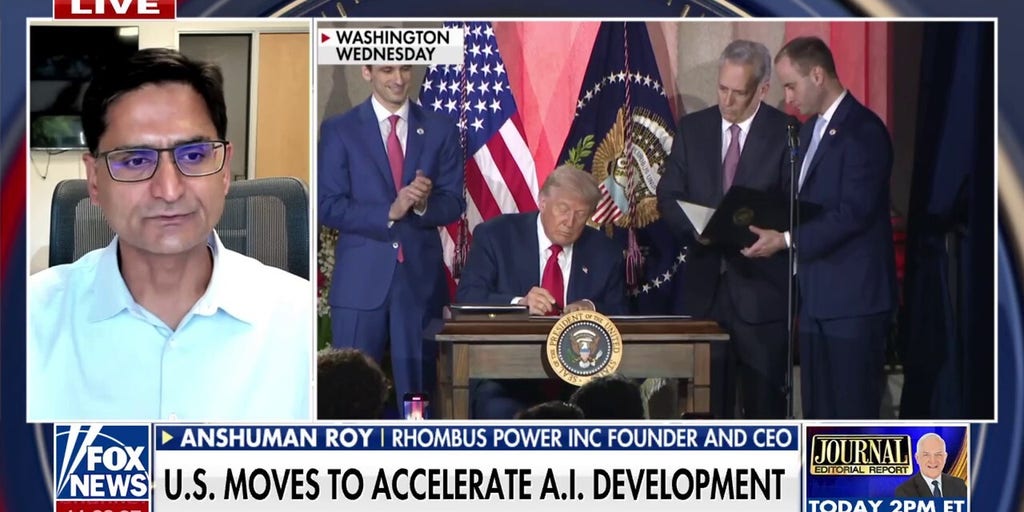 Expert touts Trump's AI push: 'Best step this country could have taken'