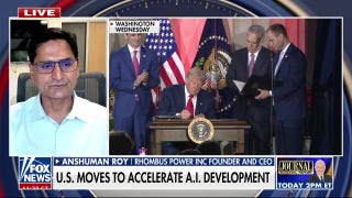 Expert touts Trump's AI push: 'Best step this country could have taken'