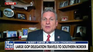 There must be consequences for people breaking the law: Rep. Buddy Carter - Fox News