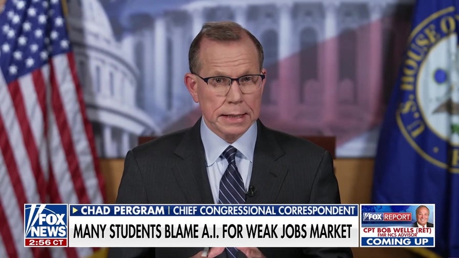 Lawmakers raise alarms over AI's impact on schools, job market