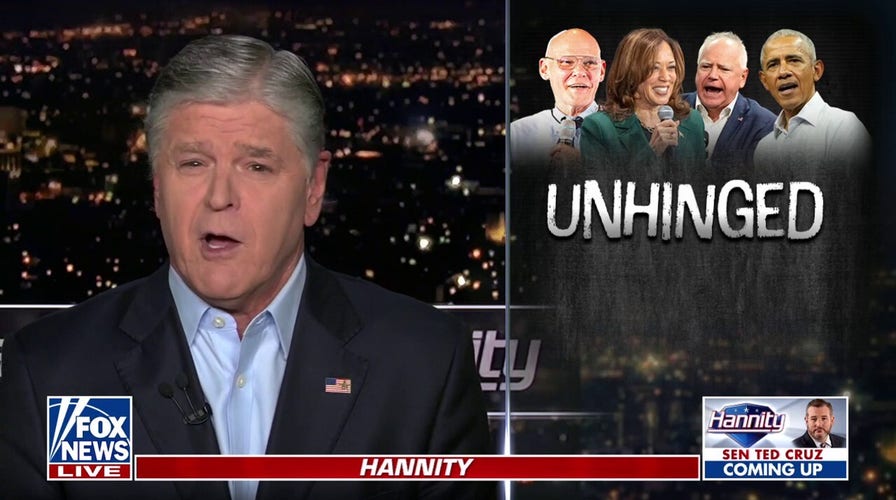 Sean Hannity: Democrats are going repulsively negative