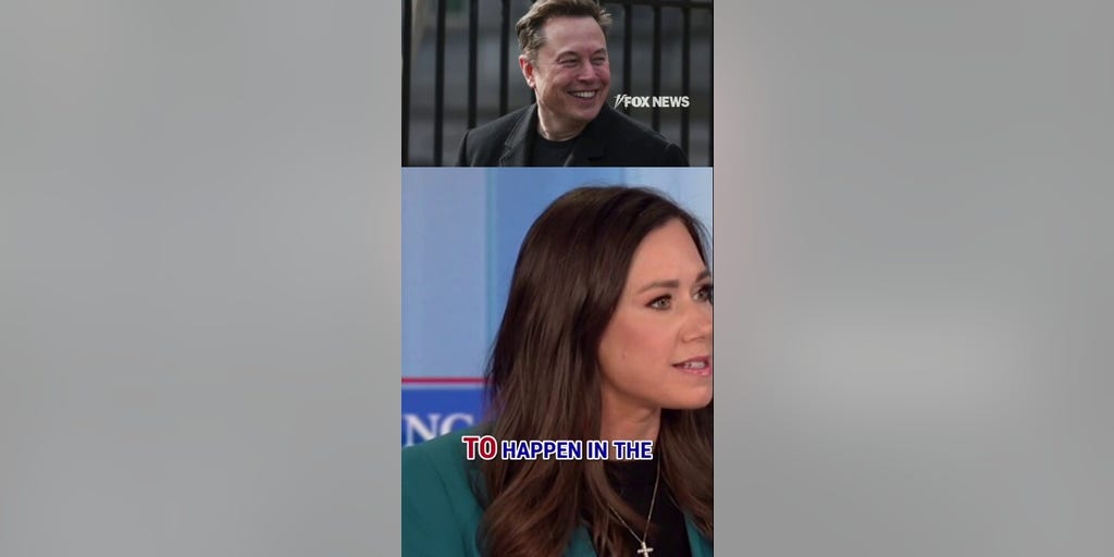 Elon Musk makes MAJOR offer amid US airport chaos