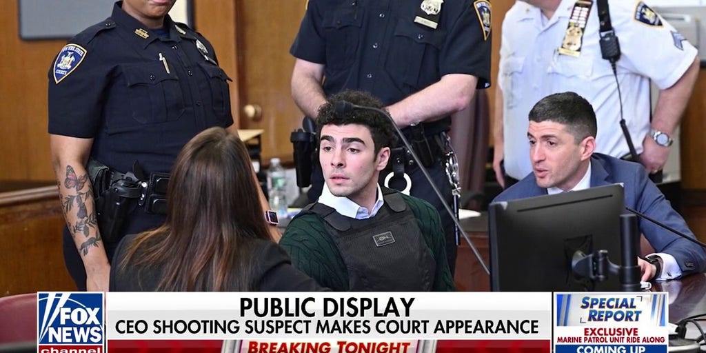 Luigi Mangione makes an appearance in court
