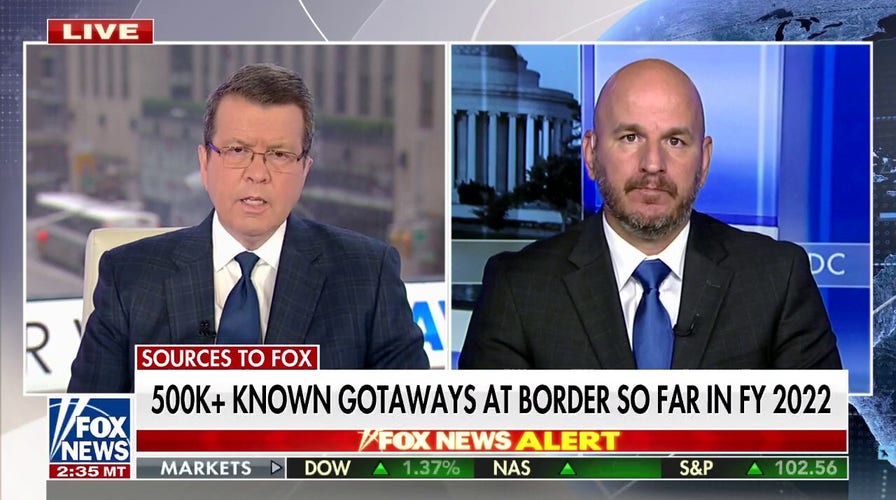 ICE developing ID card program for illegals: 'It just doesn't make sense'