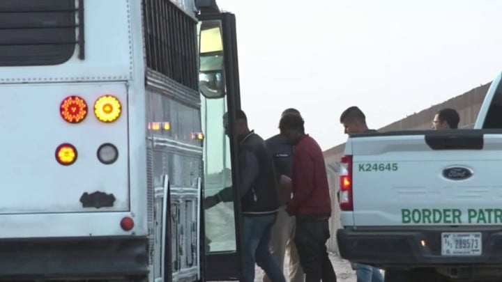 Afghan migrant linked to terror group released on bail
