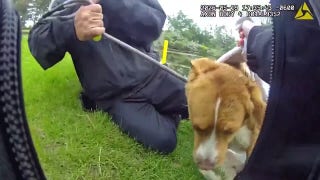 Police rescue dog trapped in golf course pond and reunite her with family