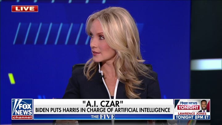 Dana Perino: What made Biden think this was a good idea? 