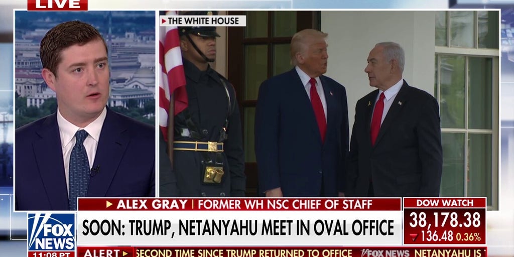 Trump meeting with Netanyahu starts 'domino effect' of countries 'shaping up' to US tariffs, says former White House official