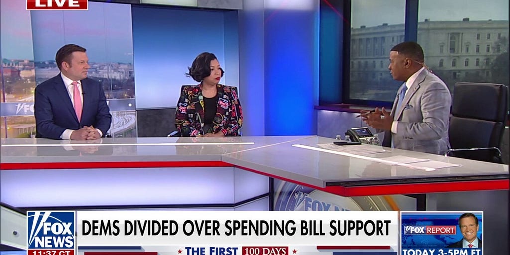 Republican strategist says ‘it’s not looking good’ for Democrats as party faces internal division