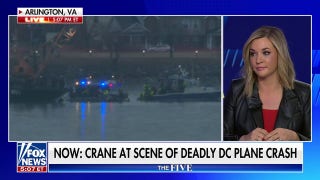 'The Five’ debates what caused the DC aircraft collision - Fox News