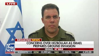  IDF spokesman: Our civilians are the targets of these murderous attacks