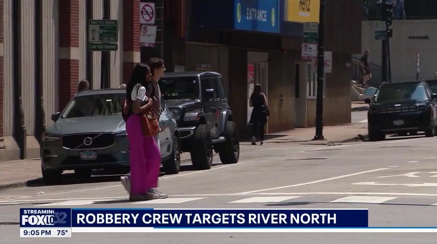 Chicago robbery victim describes horrifying attack