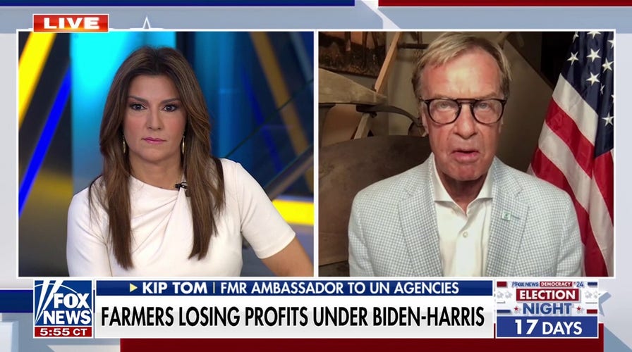 Former UN ambassador says income of farmers is 'suffering'